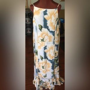 Anthropolgie Dress XL